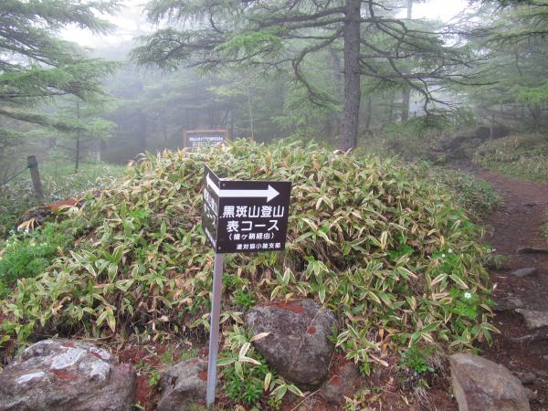 登山口